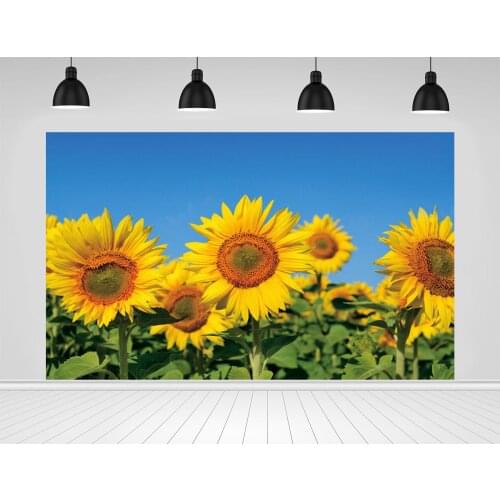 Scopiso Yellow Sunflowers Grow In The Field Photographic Backdrops for Photo Studio Decoration Props Photography Backgrounds