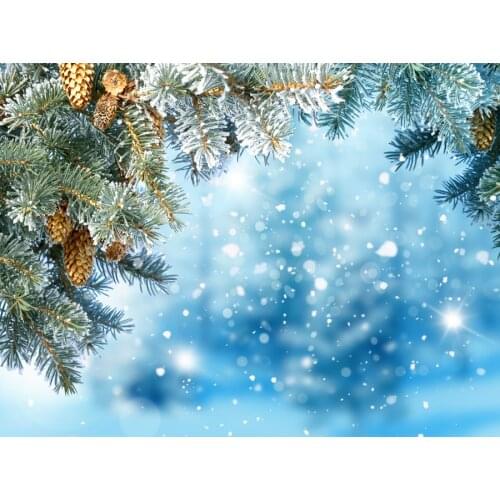 VinylBDS Photo Studio Backdrop Photography Christmas Backdrops Blue Bright Background For Children Studio Photography