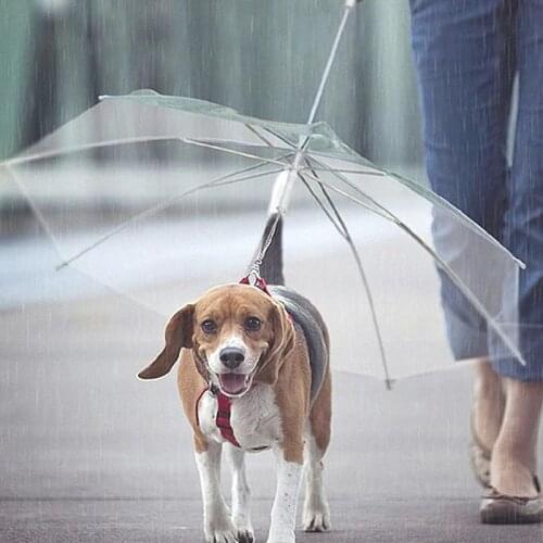 Transparent Pet Umbrella Portable Built-in Leash Puppy Umbrella Cat Raincoat Small Dog Cat Rain Gear with Dog Leads Keeps