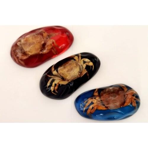 12 pcs real crab insect big size fashion mixed colorful color keychain
