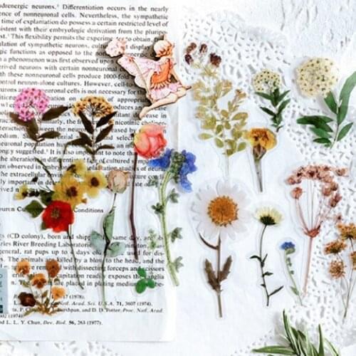 40Pcs/bag Plant Flower Mushroom Ginkgo Pet Deco Diary Stickers Scrapbooking Planner Decorative Stationery Stickers