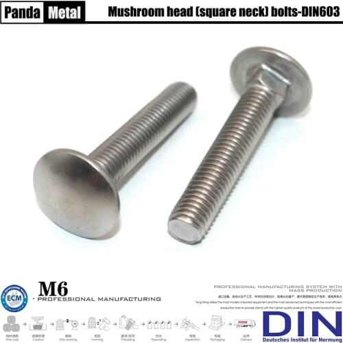 304/316 stainless steel fixing bolt DIN603 mushroom head square neck screw, frame round head bolt A2A4 diameter M6