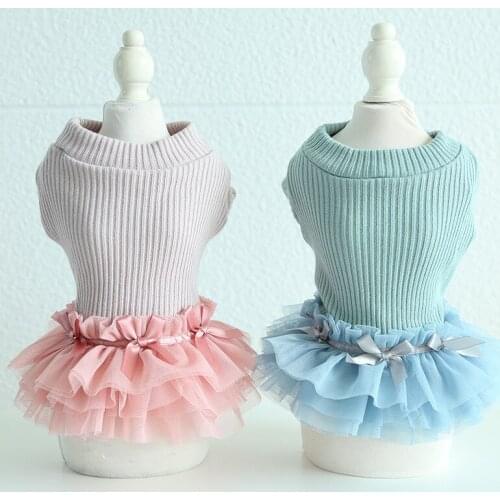 Base Skirt Pink Blue Warm Lace Cat Dog Coats Dress Cotton-Padded Autumn Clothing For Dogs Puppy Dog Cat Pet Clothes Chihuahua