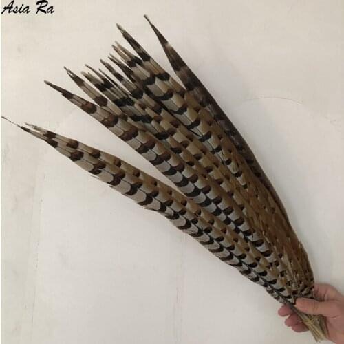 Reeves Venery Pheasant Tail Feathers for Needlework 60-65CM Feather for Crafts DIY Jewelrys Making Decorations Plumes Plumas