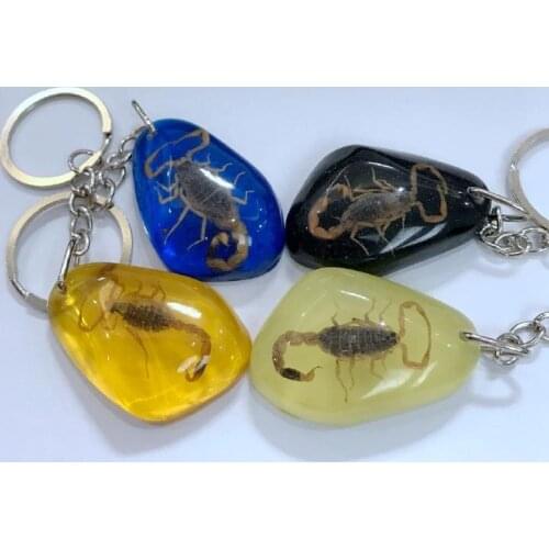 Free Shipping yqtdmy 12 pcs new shaped keychain with gold scorpion hot sale insect style