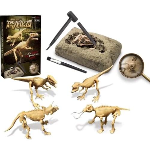 R7RB Dinosaur Prototype Science Skeleton Model Toys Science, Education, Archaeology