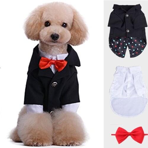 Костюмы для собак SweetDog China At AliExpress