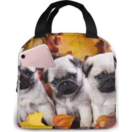 Pug Puppies In The Autumn Cooler Bag Portable Zipper Thermal Lunch Bag Convenient Lunch Box Tote Food Bag