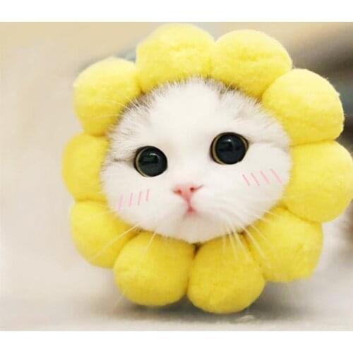 Fashion Pet Dog Hats Creative Sunflower Shaped Dog Decoration Hat Lovely Puppy Party Festival Cosplay Costume Dogs Sets Supplies