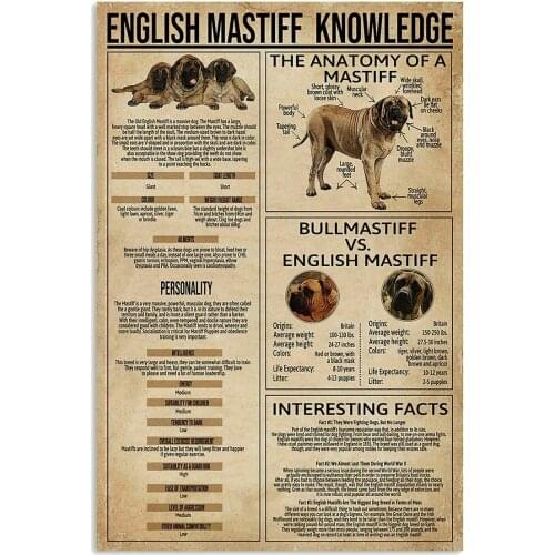 English Mastiff Knowledge Metal Sign Garage Street Cafe Bar Club Kitchen Wall Decoration Retro Metal Tin SignBest Gift For