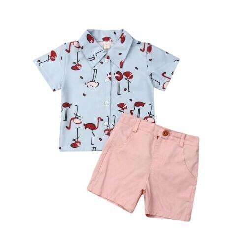 Toddler Girl Clothes Newborn Kids Baby Boy Girl Summer Flamingo Tops T-Shirt Pants Outfits Clothes