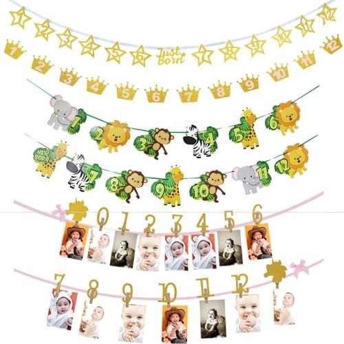 Wild One 1st Birthday Photo Clips Banner Wall Hanging Garlands 1-12 Monthly Photo Wall Decor Jungle/Unicorn Birthday Party Gift