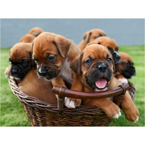 2019 New 5D DIY Diamond Painting Cross Stitch Animal dog Diamond Embroidery Full Square Rhinestone Mosaic Painting decor