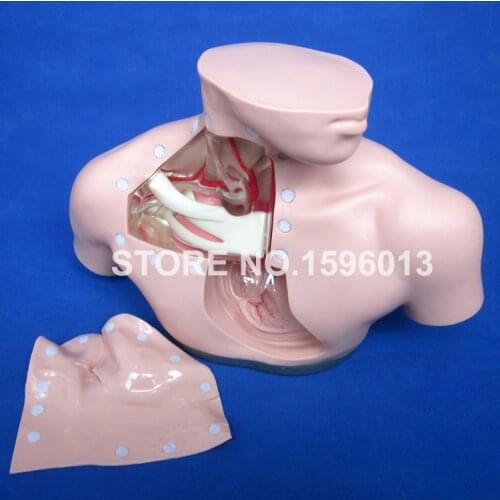 Parenteral Alimentation Nursing Simulator, Parenteral Nutrition Care Model