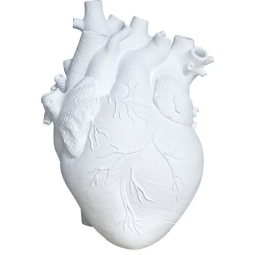 Heart Vase Ornaments Model Modern Office Home Decorations Anatomical Womens Birthday Gifts 9.75 Inches Resin Flower Pot