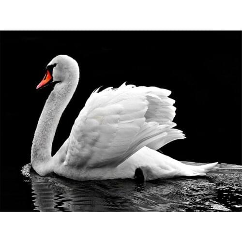 DIY Diamond 5D Embroidery Paintings Resin Square Rhinestone Full Pasted Unfinished Painting Cross Stitch Swan