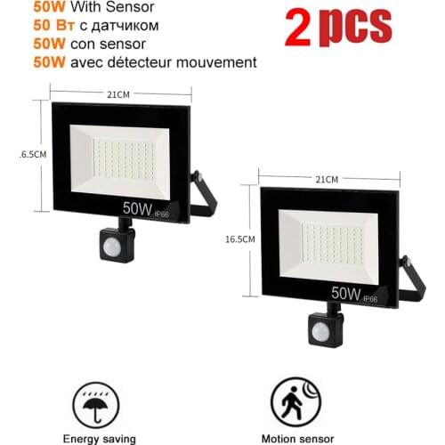 2 pcs 220V 10-100W LED FloodLight Spotlight Exterior Street wall reflector Garden Lamp Motion Sensor Light LED Security Waterpro