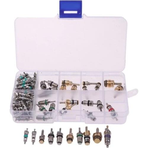 100Pcs/box R134A Car A/C Core Valves Automotive Air Conditioning Assortment Kit