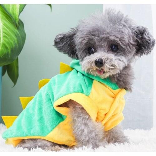 Spring and Autumn Pet Funny Clothes Dinosaur Transformation Clothes Fashion Cute Teddy Dog Clothes Set For Cats