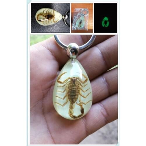 Car Accessories Luminous Insect Epoxy Keychain Resin Tweezers for Jeep Hurricane Gladiator Wrangler Compass Patriot