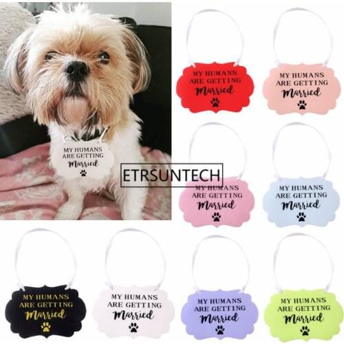 100pcs Pet Cat Dog Marry Tag Flower Terms Pet Listing Headwear Pet Accessory Wedding Decotarion Anniversary