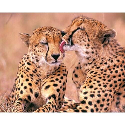 5D Diy Diamond Embroidery Animal Forest Leopard Diamond Painting Set Cross Stitch Mosaic Rhinestone Art Wall StickersZP-1200