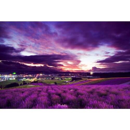 Lavender Hokkaido The wooden puzzle 1000 pieces ersion jigsaw puzzle white card adult childrens educational toys