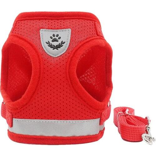 Venxuis Collars, Harnesses And Leashes