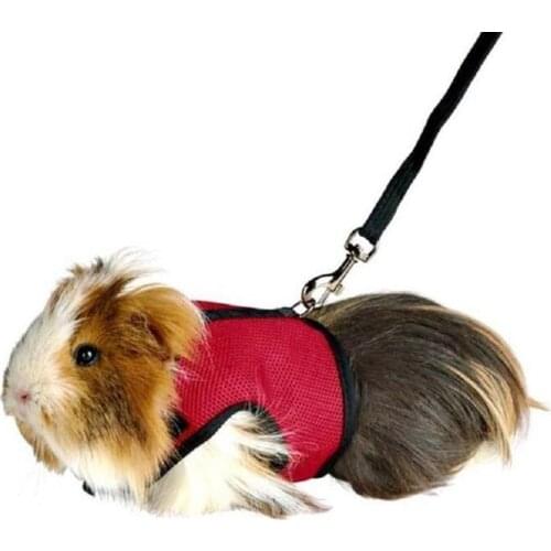 Small Pet Harness Leash Hamster Rabbit Guinea Pig Chest Straps Pulling Rope