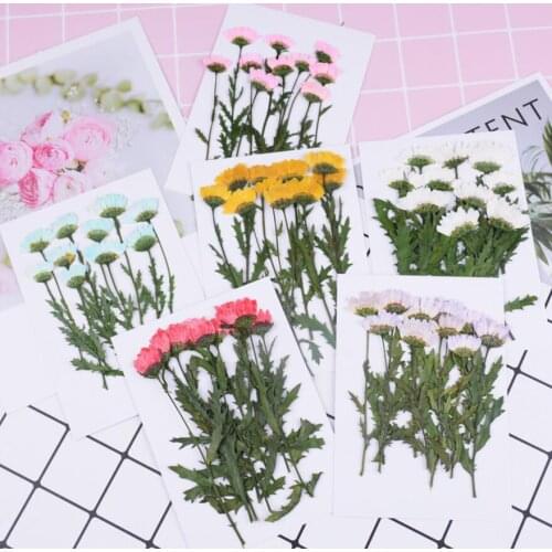 120pcs Pressed Dried Chrysanthemum with Leaves Filler For Epoxy Resin Jewelry Making Postcard Frame Phone Case Craft DIY