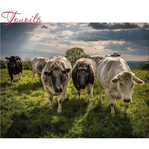 5d diy diamond painting cross stitch kit diamond embroidery Animal cow picture square mosaic Home Decor rhinestone painting