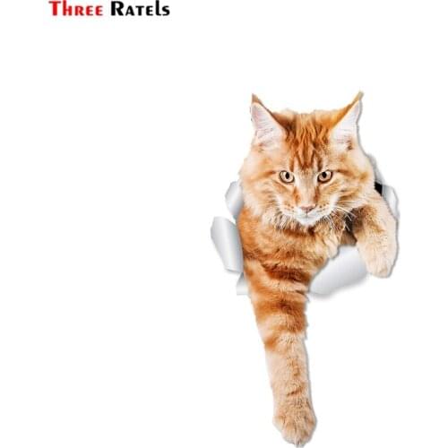 Three Ratels FTC-1054 Climbing Ginger Cat Wall Decals Orange Toilet Sticker 3D Car Window and Bumper