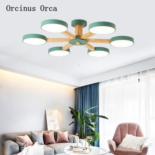 Orcinus orca Lighting