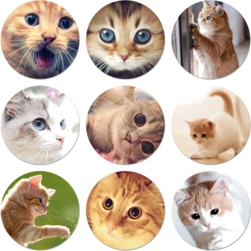 Funny cute animal cat Icons Pins Badge Decoration Brooches Metal Badges For Clothes Backpack Decoration