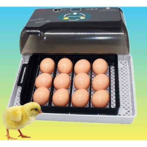 China reliable quality factory LED Light automatic household Chicken egg incubator Hatchery