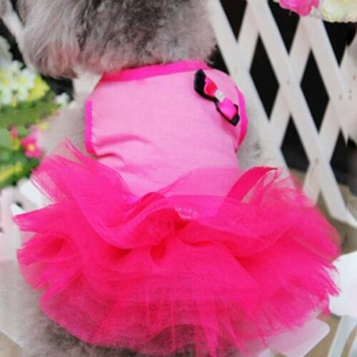 Summer Dog Dress for Small Dogs Pet Clothes Princess Wedding Skirt Luxury Dresses for Dog Soft Lace Clothes 259qe