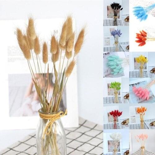 20Pcs Colorful Natural Plants Floral Rabbit Grass Bouquet Grass Dried Flower Bunny Tail Home Decoration Accessories Long Bunches