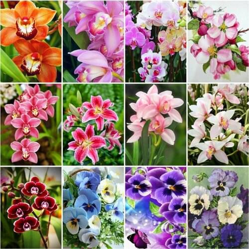 Huacan 5D DIY Diamond Painting Full Drill Orchid Diamond Mosaic Embroidery Flower Modular Pictures Handicraft Home Decoration