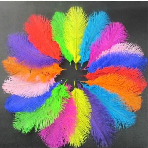 10 PCS/Lot Dyed Colorful Real Ostrich Feather Plumes 15-20 CM Wedding Carnival Home DIY Decoration Accessories Plumes