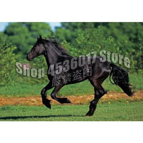 5D DIY Diamond Painting Animals Black Horses Running Diamond Mosaic Full Square Diamond Embroidery Of Rhinestone Child Gift