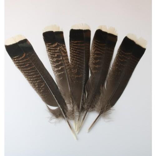 50 Pcs Natural Eagle Bird Feathers For Crafts 25-30cm/10-12inch Selected Prime Quality Eagle Feathers Diy Jewelry Decoration
