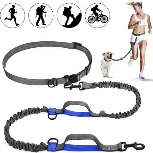2021 New Reflective Leash Traction Rope Pet Dog Running Belt Elastic Hands Freely Jogging Pull Dog Leash Metal D-ring Leashes