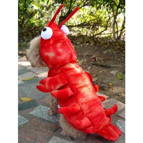 Lobster pet dress up pet clothes dog clothes Halloween warm plus cotton funny