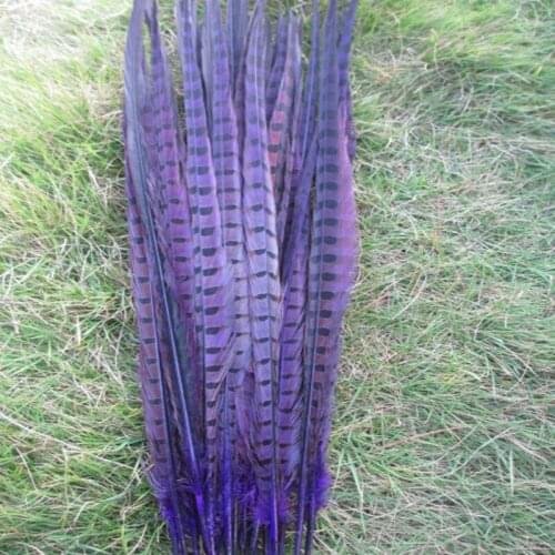 Wholesale 500 / lot beautiful purple pheasant feathers 16-18 inches / 40-45 cm free shipping