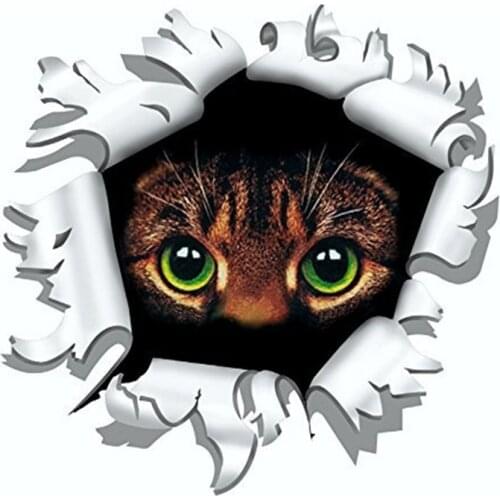 SZWL Cat In The Bullet Hole Car Sticker Funny Colorful Stickers Waterproof Cover Scratch Decals Decoration Accessories,15cm*15cm