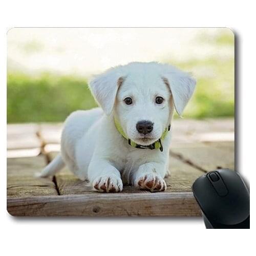 Gaming puppy dog mouse pad,Puppy Dog Pet Animal Cute White Adorable Canine,dogs mouse mat