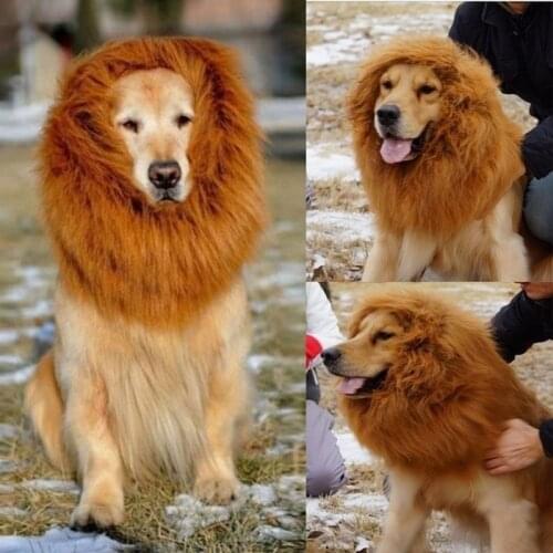 Funny Pet Lion Mane Wig Cap Hat for Dogs Cats Clothes Fancy Dress Adjustable Autumn Winter Costume Cosplay