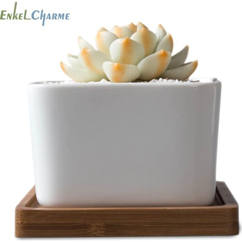 ENKEL CHARME Ceramic Pots