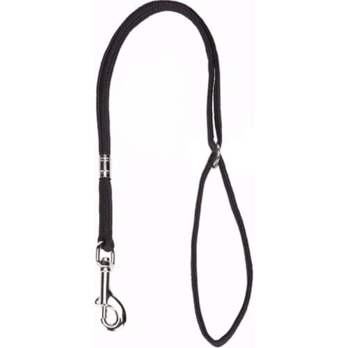 Dog Pet Cat Animal Noose Loop Lock Clip Rope For Grooming Table Arm Bath 52cm