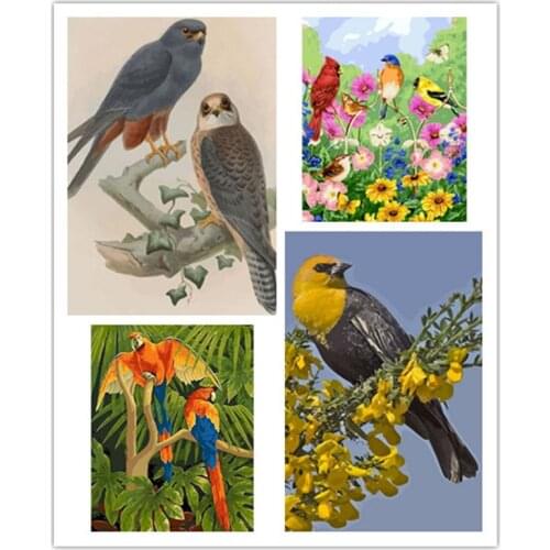 40×50cm DIY Painting By Numbers Flowers Picture For Living Room Home Decoration Coloring By Numbers Birds Unique Gift